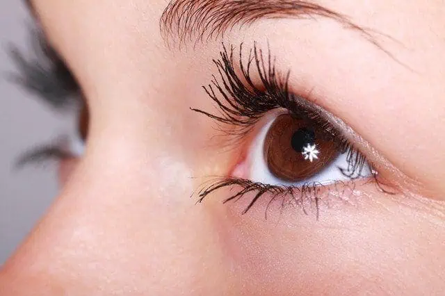 Eyelashes